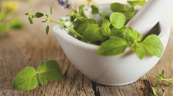 herbs to increase potency